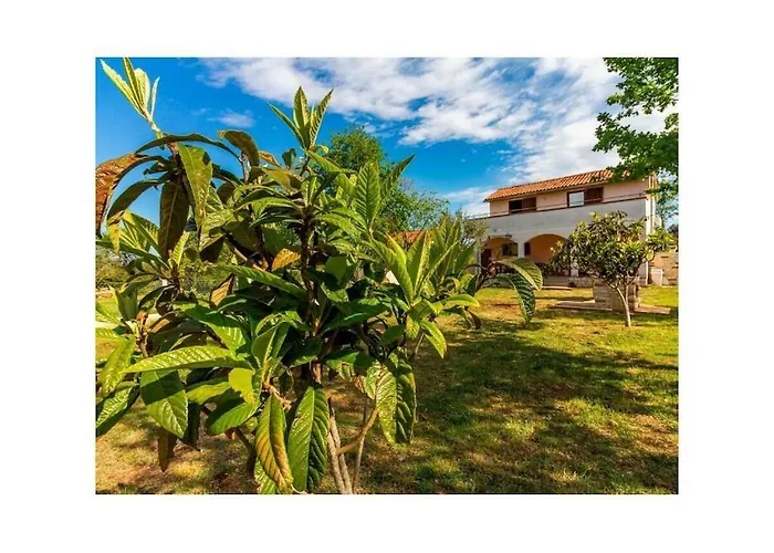 Marmelo Vakantiehuis